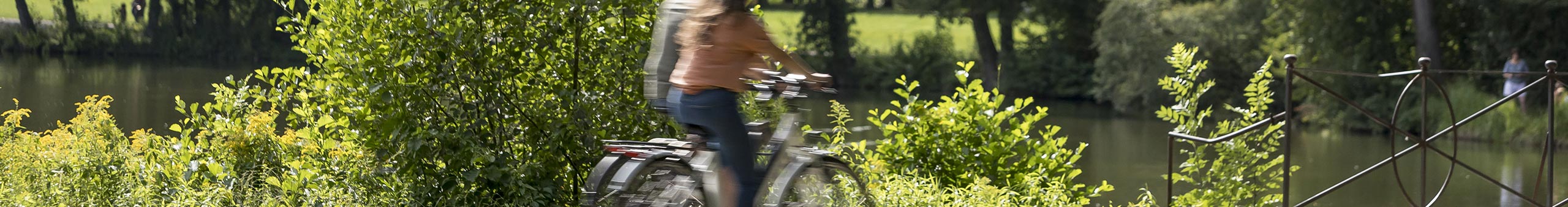 Two cyclists riding bicycles on a path beside a lake surrounded by greenery.