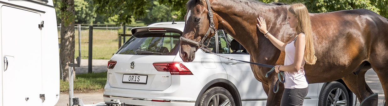 Woman holding a horse beside a white Volkswagen Tiguan with towbar and horse trailer in a tree-lined outdoor area.